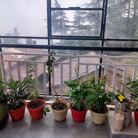 Tree Valley Homestay Чейл Экстерьер фото