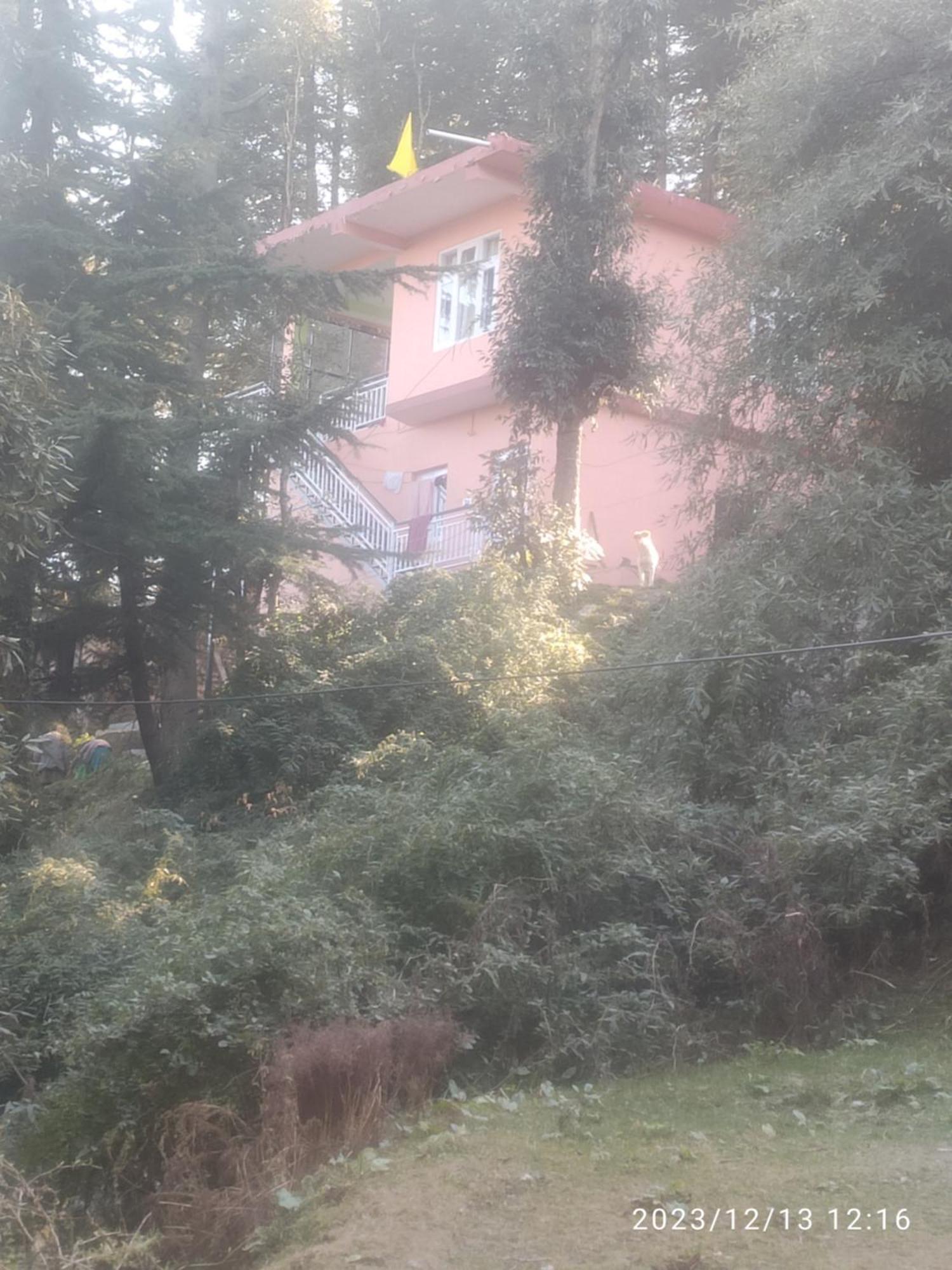 Tree Valley Homestay Чейл Экстерьер фото