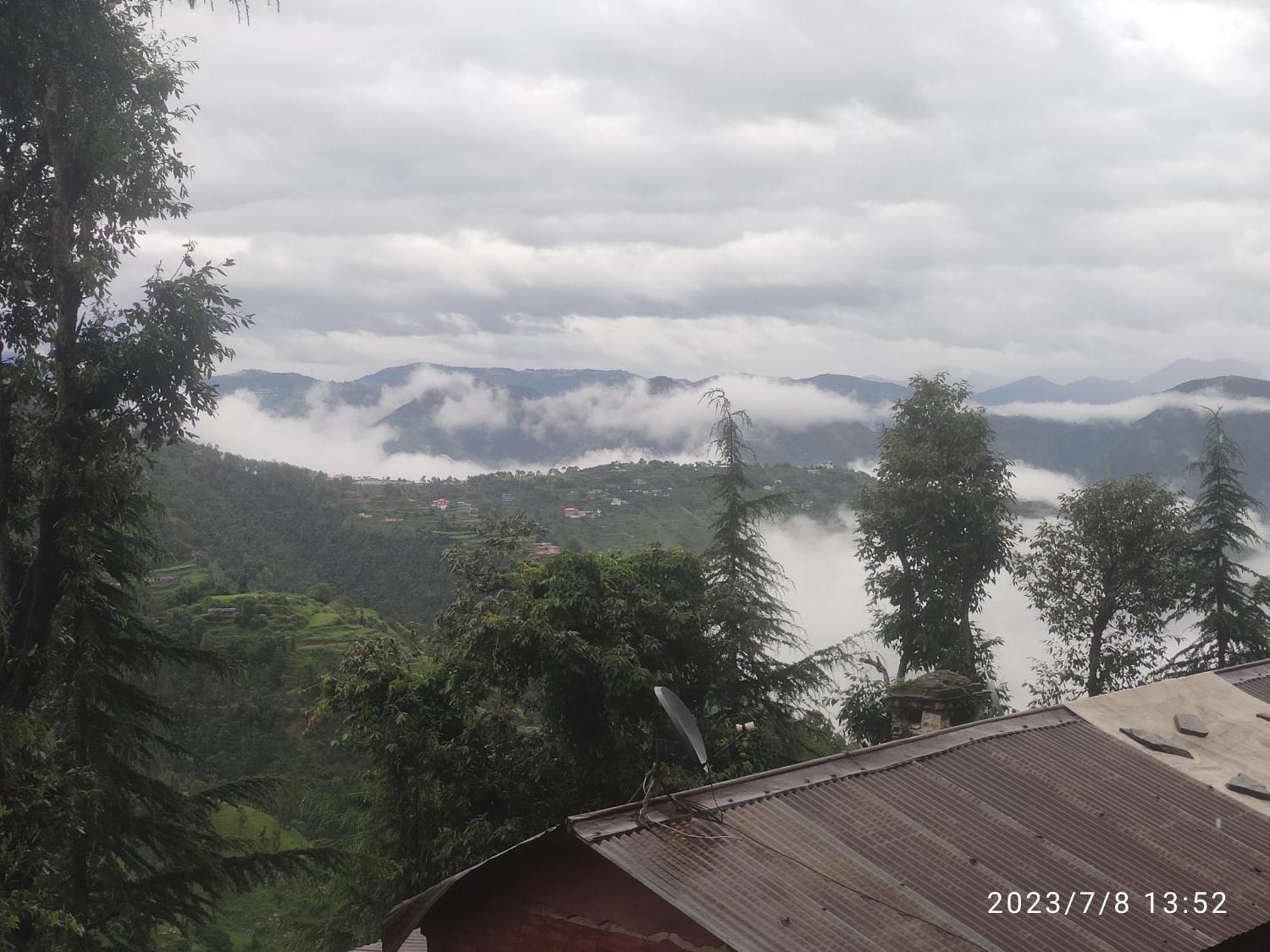 Tree Valley Homestay Чейл Экстерьер фото