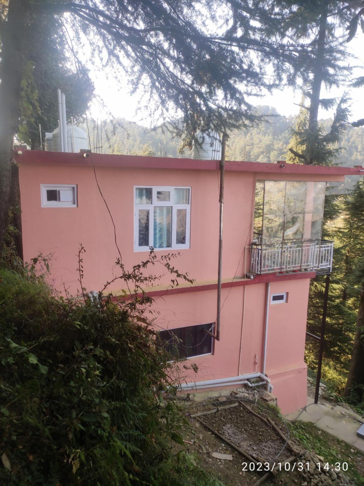 Tree Valley Homestay Чейл Экстерьер фото