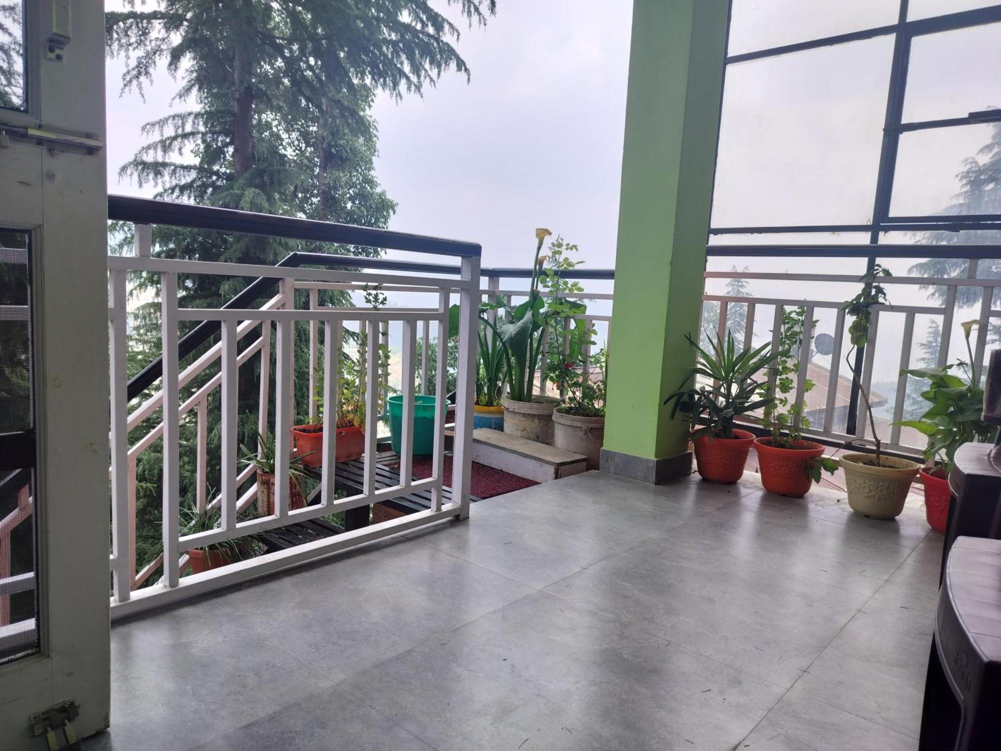 Tree Valley Homestay Чейл Экстерьер фото