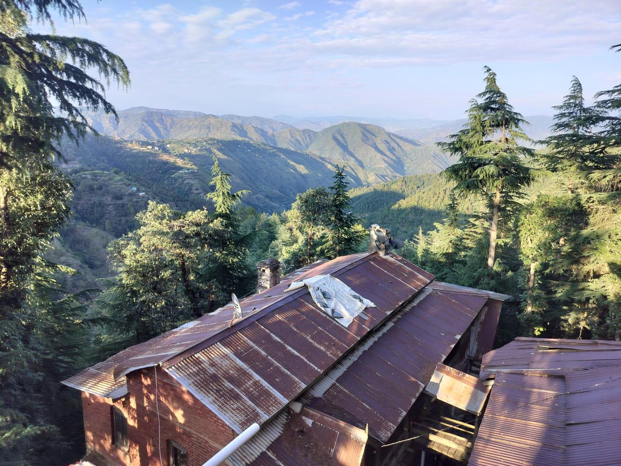 Tree Valley Homestay Чейл Экстерьер фото