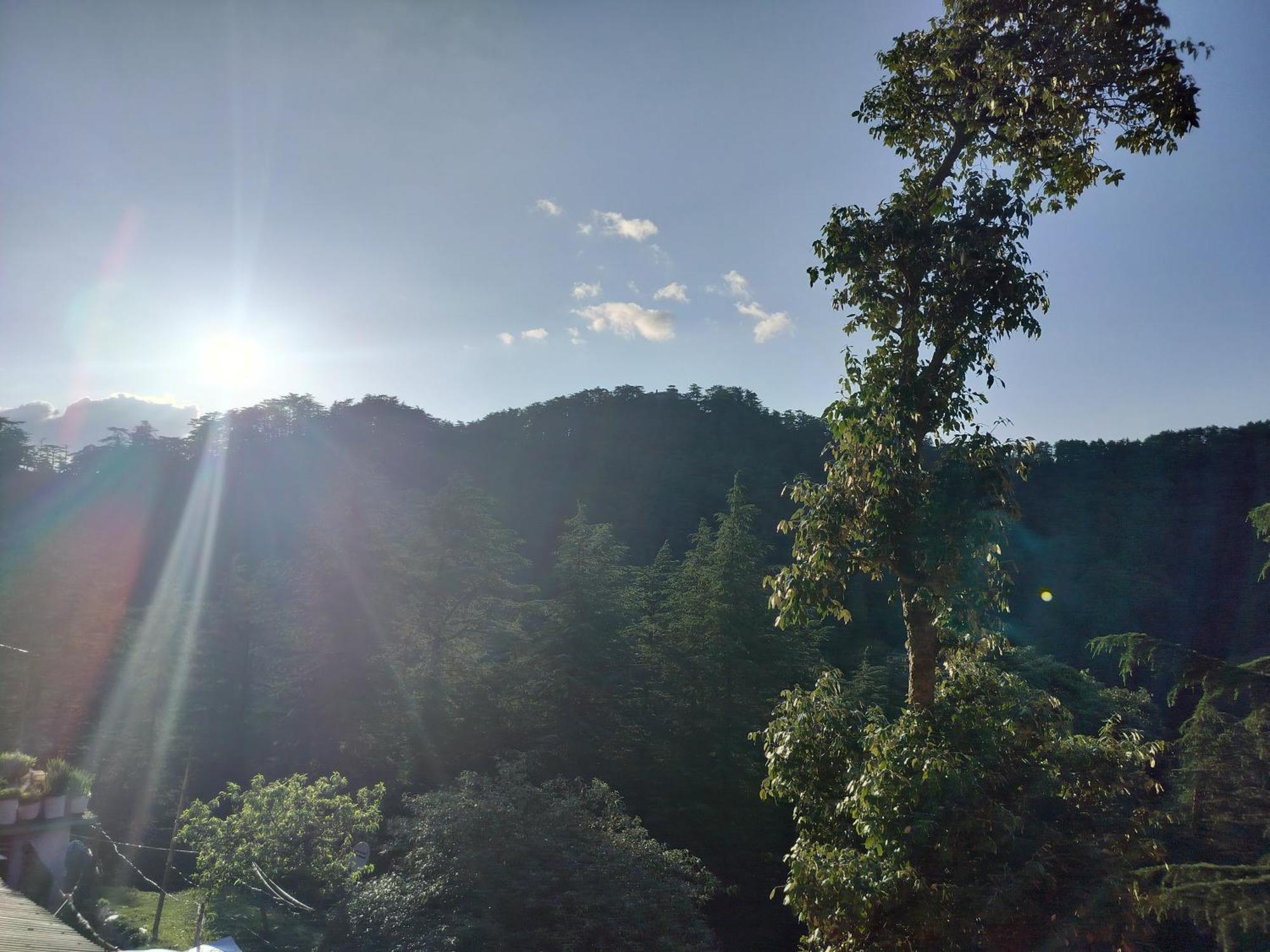Tree Valley Homestay Чейл Экстерьер фото