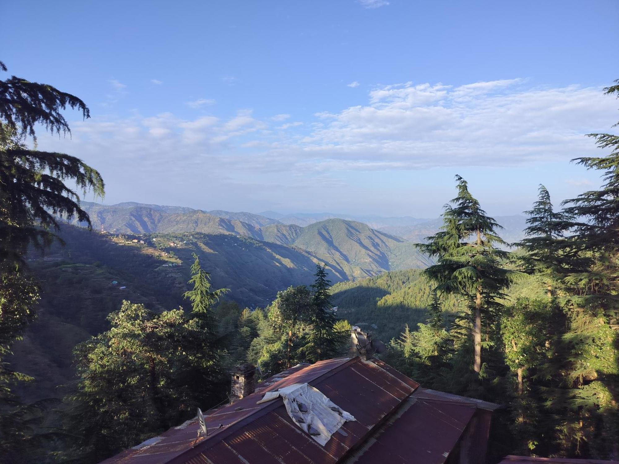 Tree Valley Homestay Чейл Экстерьер фото