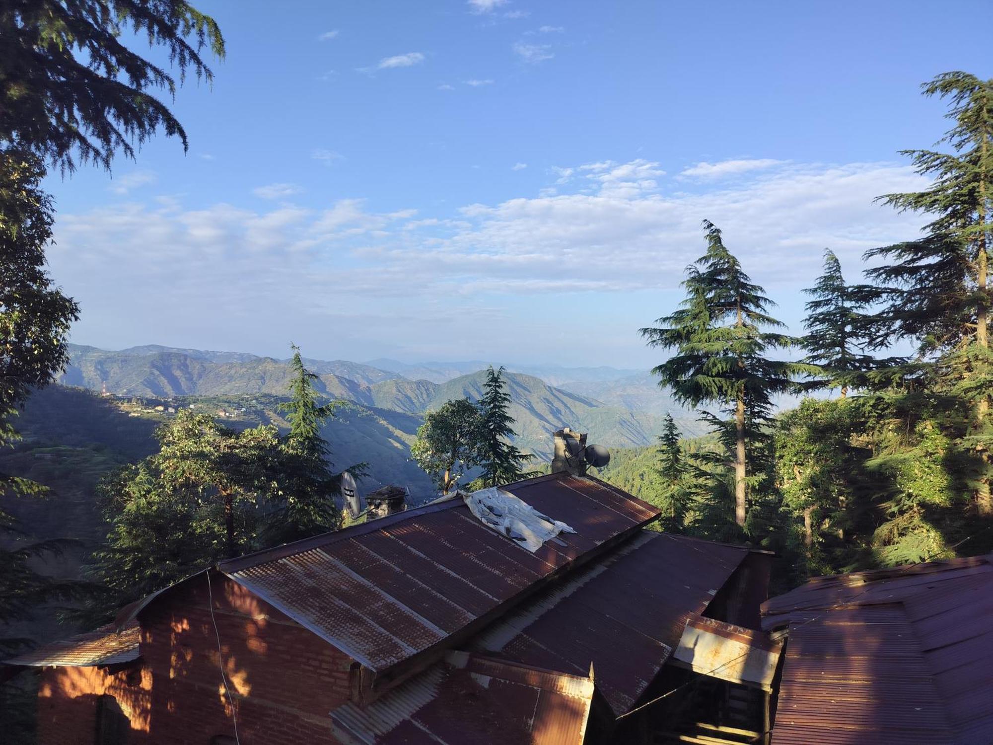 Tree Valley Homestay Чейл Экстерьер фото